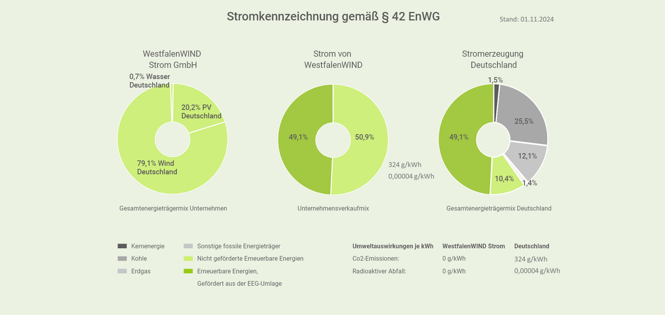 Stromkennzeichnung_2024